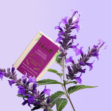 English Lavender Daily Bathing Soap for Improving Skin Tone & Reducing Fine Lines, 125 gm